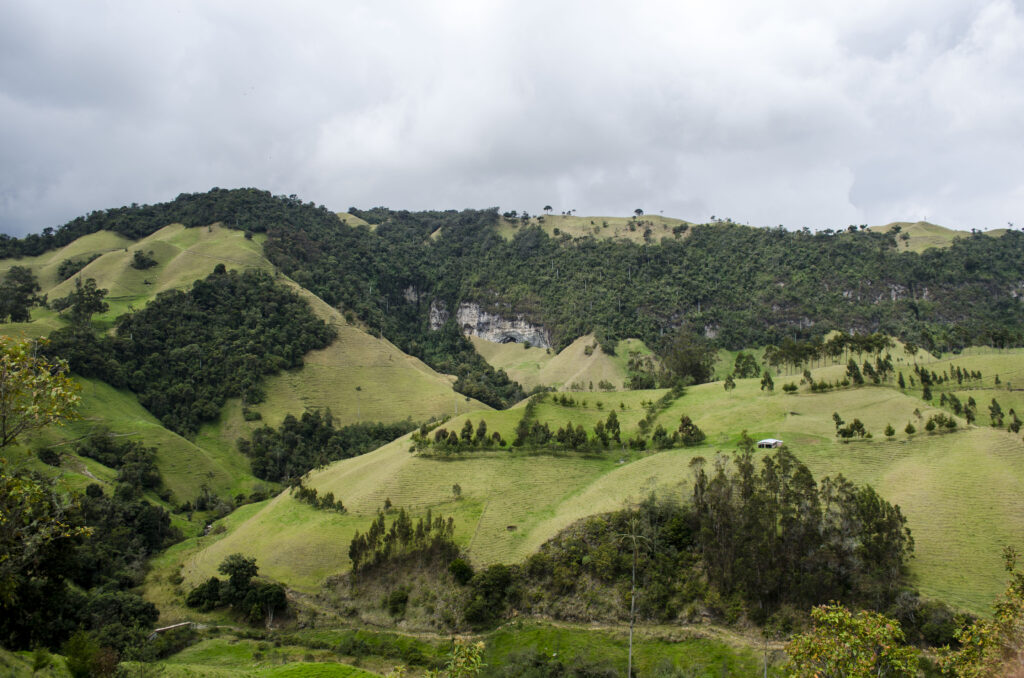 Marulanda