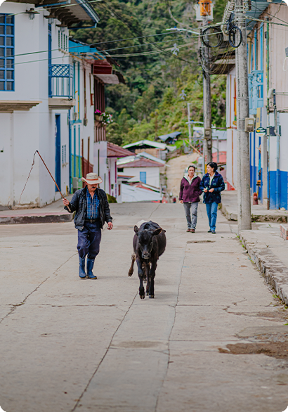 Marulanda, foto 12 de 15