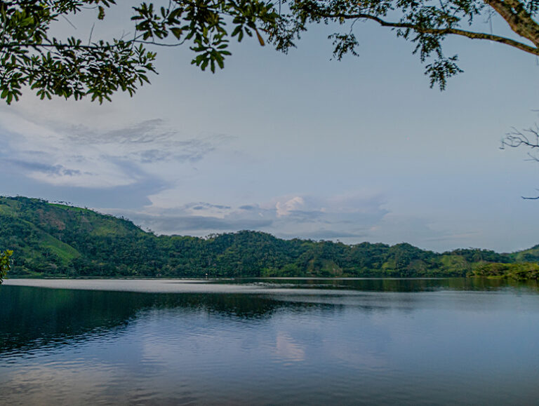 Samaná, photo 6 of 8