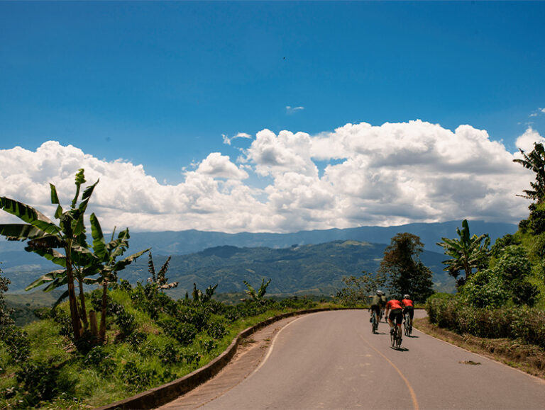 Altos Cycling Cafetera, photo 5 of 5