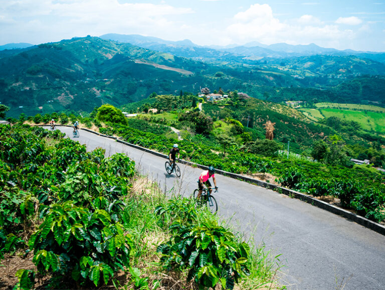 Altos Cycling Cafetera, photo 4 of 5
