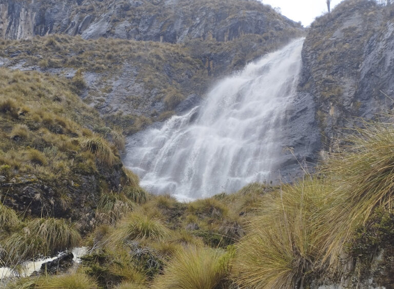 Refugio Potosí and Laguna del Otún – A páramo experience, photo 2 of 7
