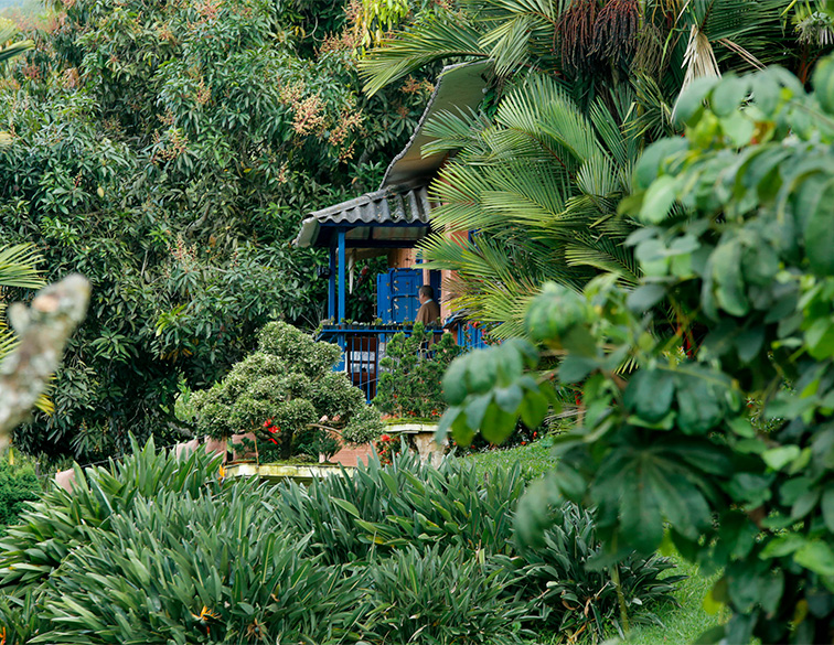 Finca Romelia Orchids and Birds, photo 1 of 6