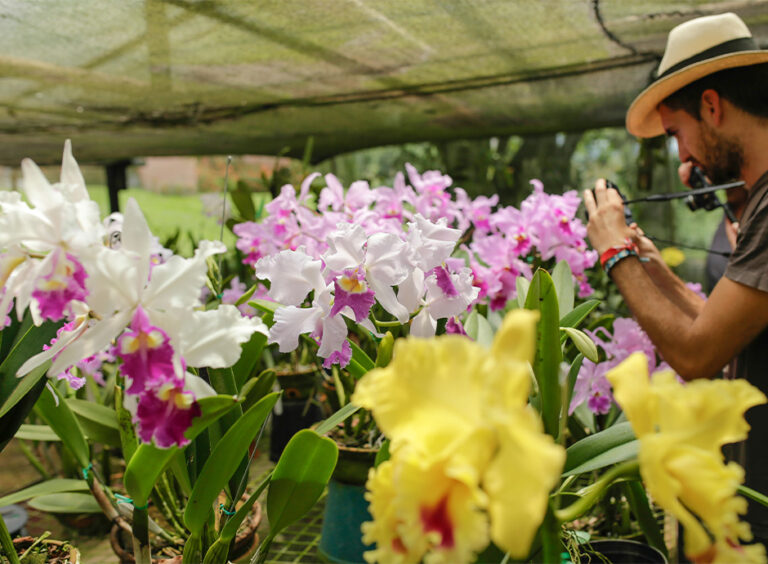 Finca Romelia Orchids and Birds, photo 5 of 6