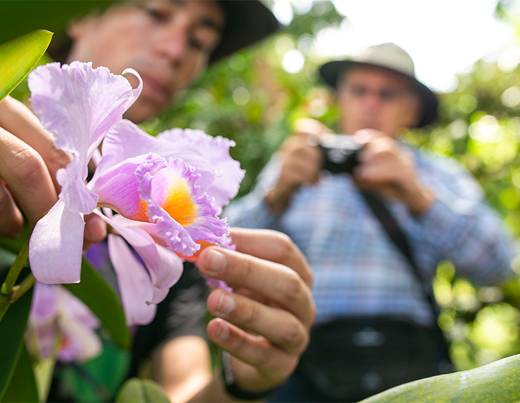 Finca Romelia Orchids and Birds, photo 2 of 6